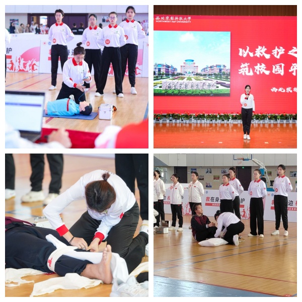 微信图片_20251030110805_97_45_副本.jpg